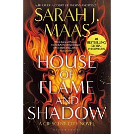 House of Flame and Shadow wer. angielska