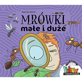 Mrówki małe i duże