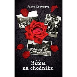 Róża na chodniku