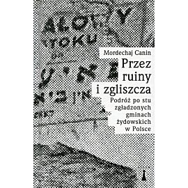 Przez ruiny i zgliszcza