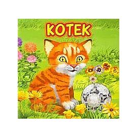 Kotek