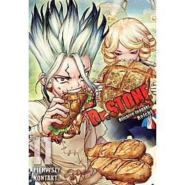 Dr. Stone - 11