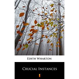Crucial Instances (e-book)