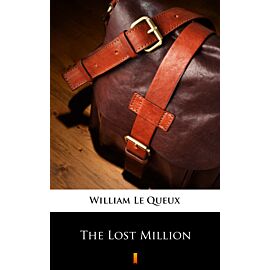 The Lost Million (e-book)