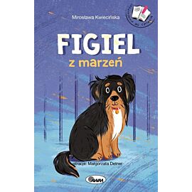 Figiel z marzeń opowiadania do czytania