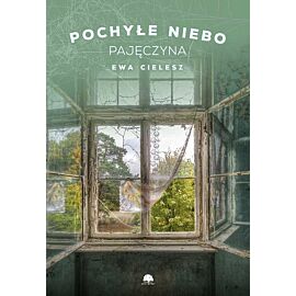 Pochyłe niebo. Tom 2 Pajęczyna
