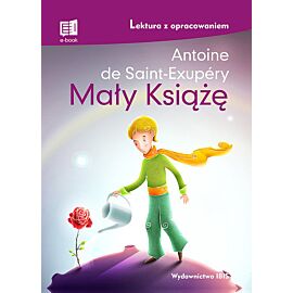 Mały Książę Lektura z opracowaniem