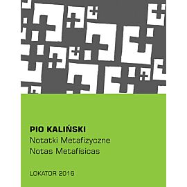 Notatki metafizyczne