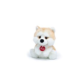 Fluffy Akita