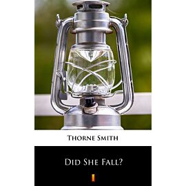 Did She Fall? (e-book)