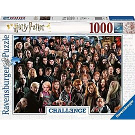 Puzzle 2d 1000 challenge harry potter 14988
