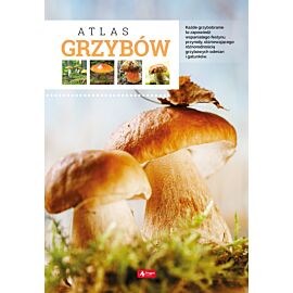 Atlas grzybów
