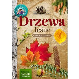 Drzewa leśne młody obserwator przyrody