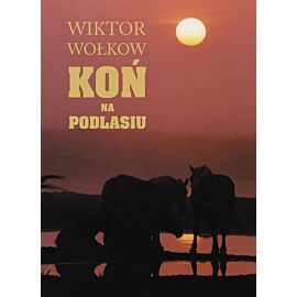 Koń na podlasiu
