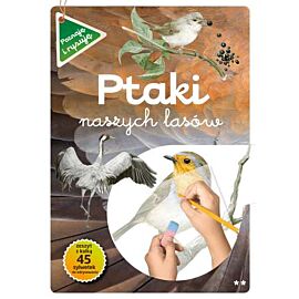 Ptaki naszych lasów część 2 poznaję i rysuję