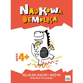 Szlaczki, raczki i wężyki. Rysujemy po śladzie  4+