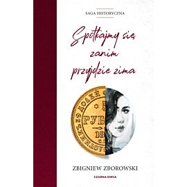 Spotkajmy się, zanim przyjdzie zima (e-book)