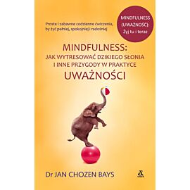 Mindfulness jak wytresować dzikiego słonia i inne przygody w praktyce uważności