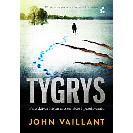 Tygrys