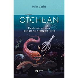 Otchłań (e-book)