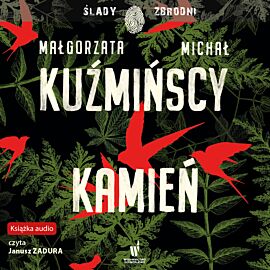 Kamień (audiobook MP3)