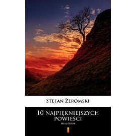10 najpiękniejszych powieści (e-book)