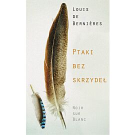 Ptaki bez skrzydeł (e-book)
