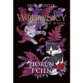 Piorun i cień (e-book)