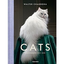 Walter Chandoha Cats