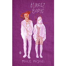Małe pająki (e-book)