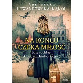 Na końcu czeka miłość (e-book)