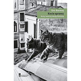 Kocie sprawy Koty tworzą swoją historię / W podwórku