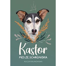 Kastor (e-book)