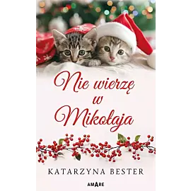 Nie wierzę w Mikołaja
