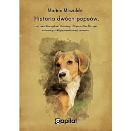 Historia dwóch popsów