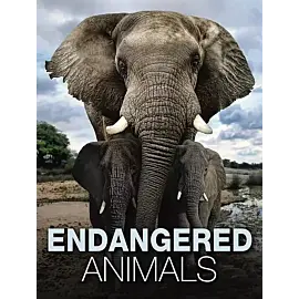 Endangered Animals