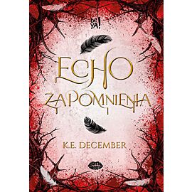 Echo zapomnienia