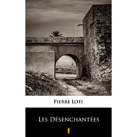 Les Désenchantées (e-book)