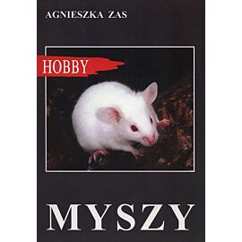 Myszy