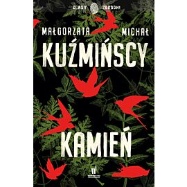 Kamień (e-book)
