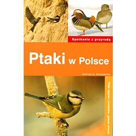 Ptaki w Polsce spotkania z przyrodą