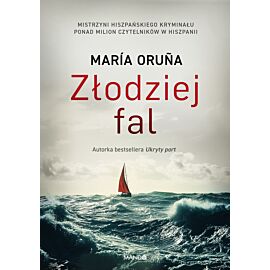 Złodziej fal