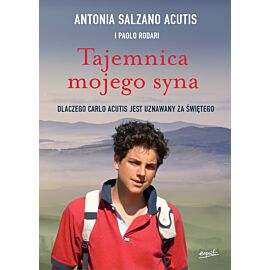 Tajemnica mojego syna (e-book)