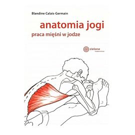 Anatomia jogi praca mięśni w jodze