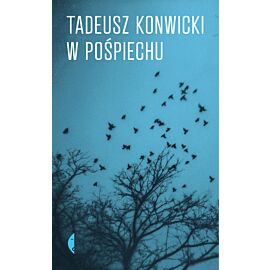 W pośpiechu (e-book)