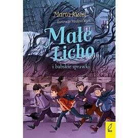 Małe Licho i babskie sprawki. Małe Licho. Tom 4