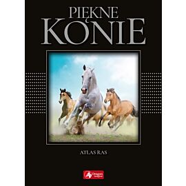Piękne konie (exclusive)
