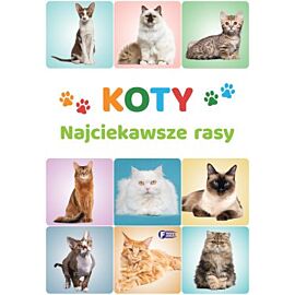 Koty. Najciekawsze rasy