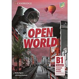 Open World Preliminary Workbook without Answers with Audio Download
