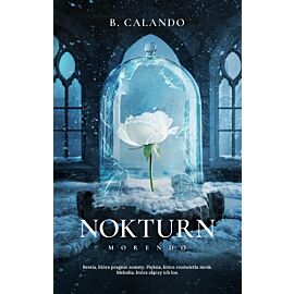 Nokturn (e-book)